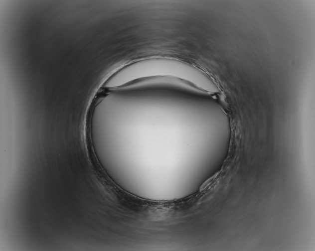 X0000096210148200802151509