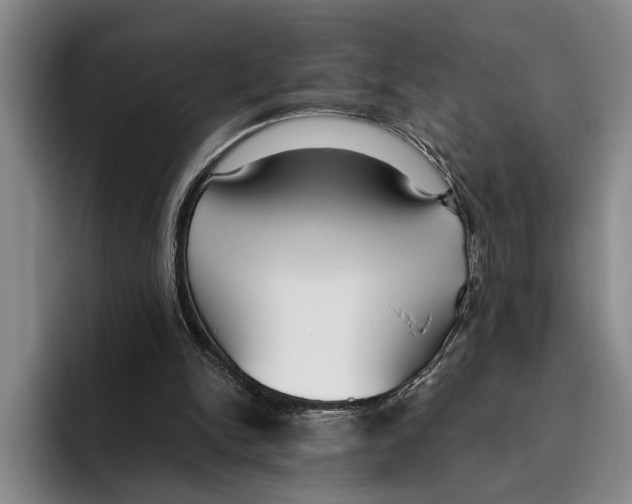 X0000096210150200802151509