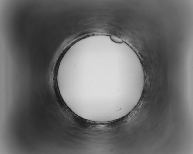X0000096210151200802151509