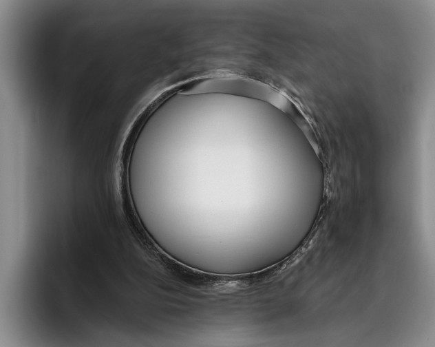 X0000096210152200802151509