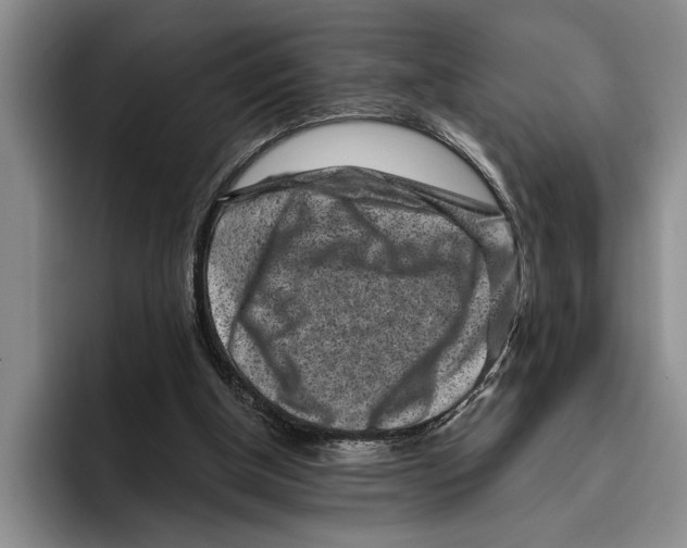 X0000096210154200802151509