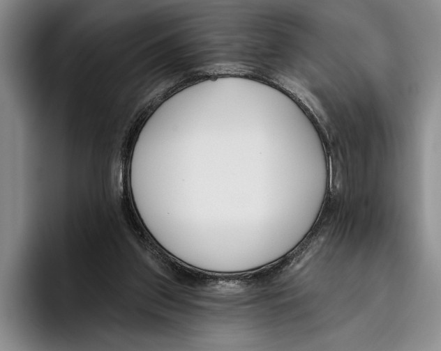X0000096210157200802151509