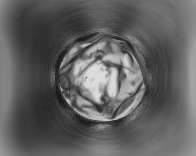 X0000096210158200802151509