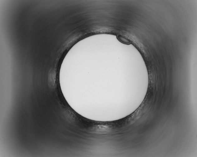 X0000096210159200802151509