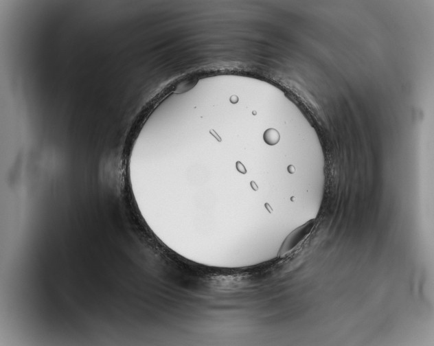 X0000096210160200802151509
