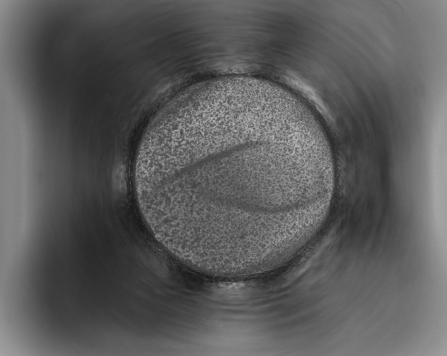 X0000096210161200802151509