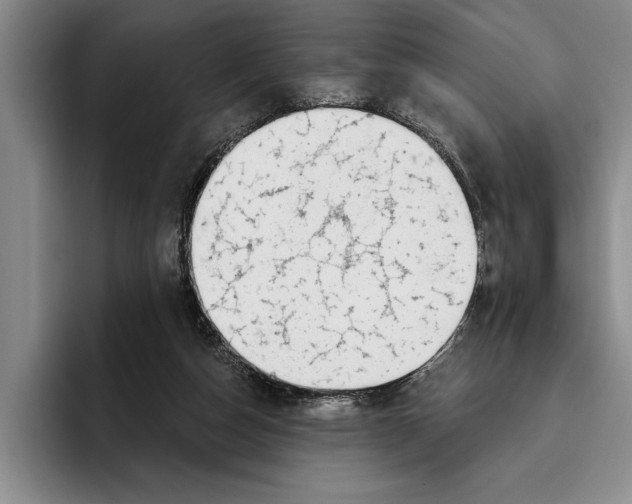 X0000096210162200802151509