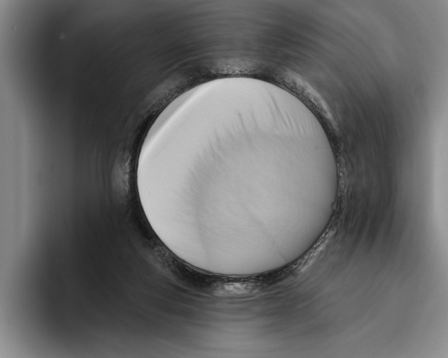 X0000096210163200802151509
