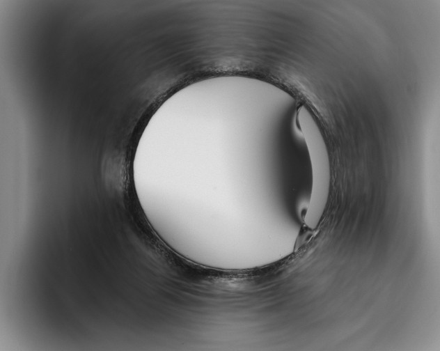 X0000096210164200802151509