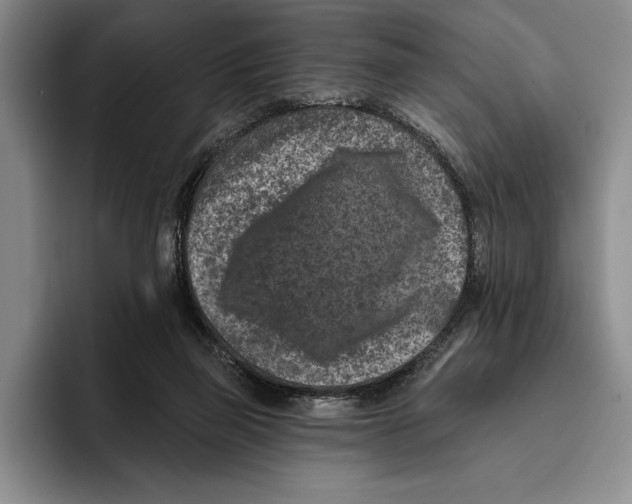 X0000096210165200802151509