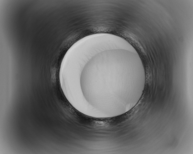 X0000096210167200802151509