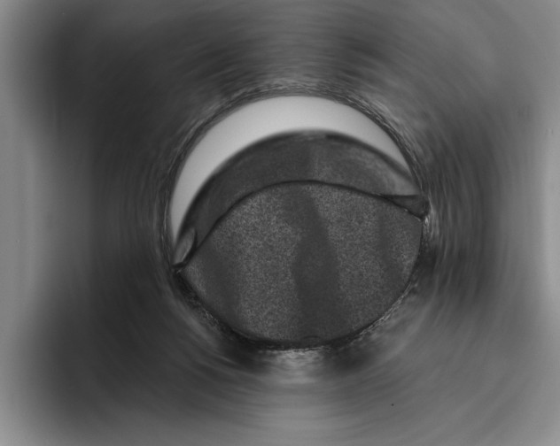 X0000096210168200802151509