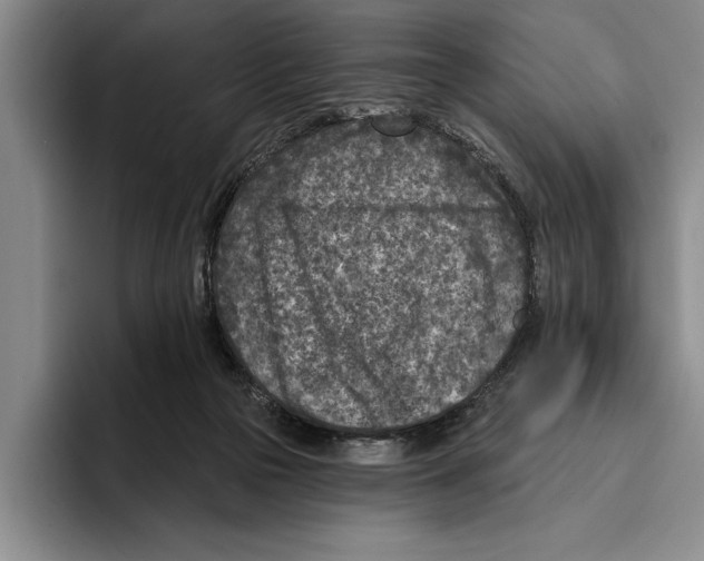 X0000096210169200802151509