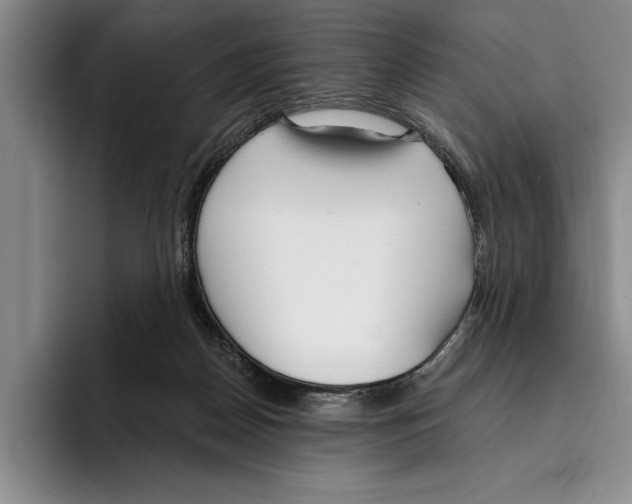 X0000096210170200802151509
