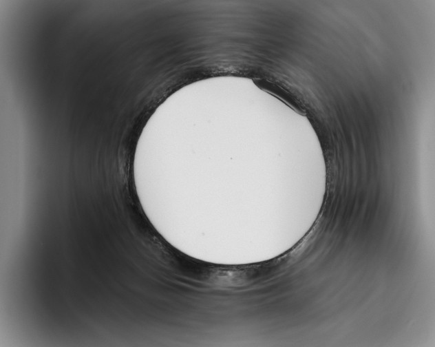 X0000096210174200802151509