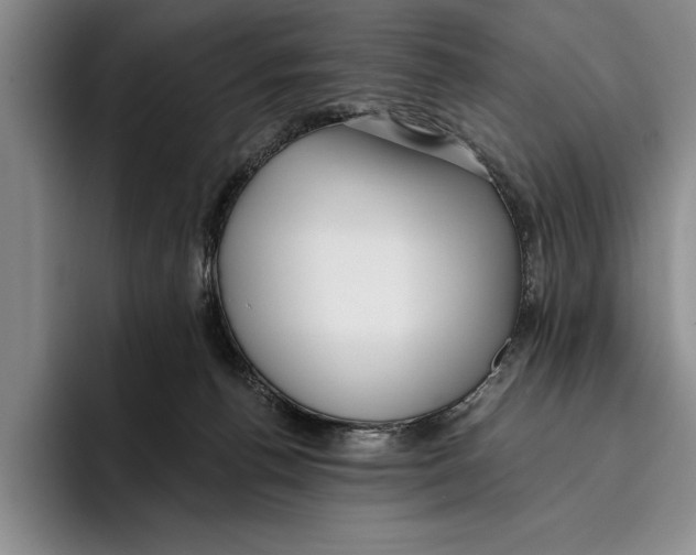 X0000096210176200802151509