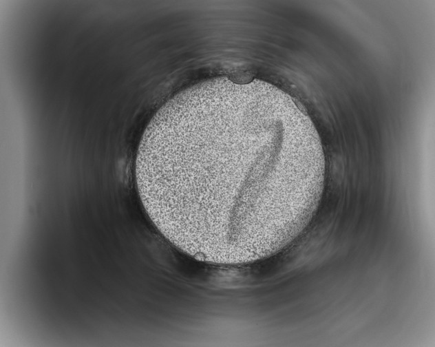 X0000096210177200802151509