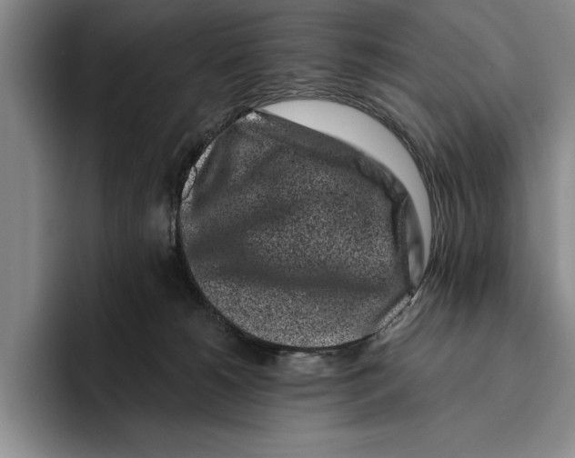 X0000096210180200802151509