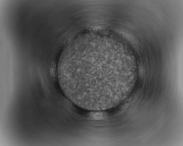 X0000096210181200802151509