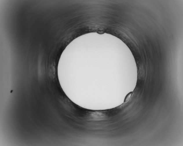 X0000096210183200802151509