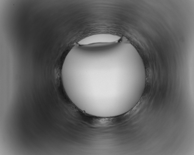 X0000096210184200802151509
