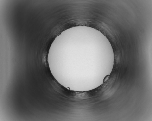 X0000096210185200802151509