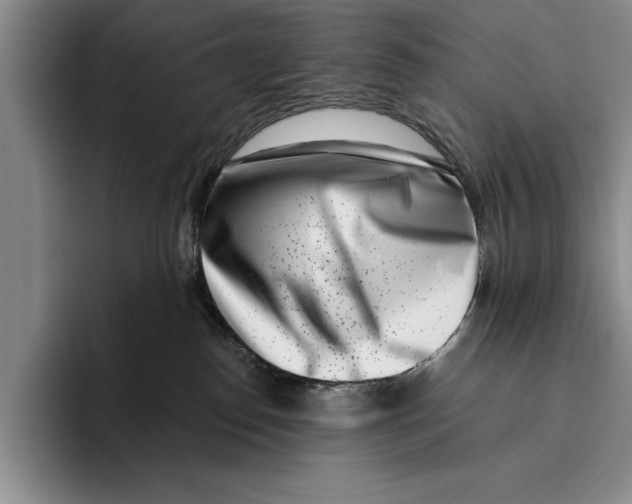 X0000096210186200802151509