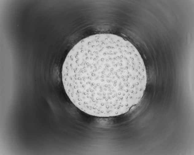 X0000096210187200802151509