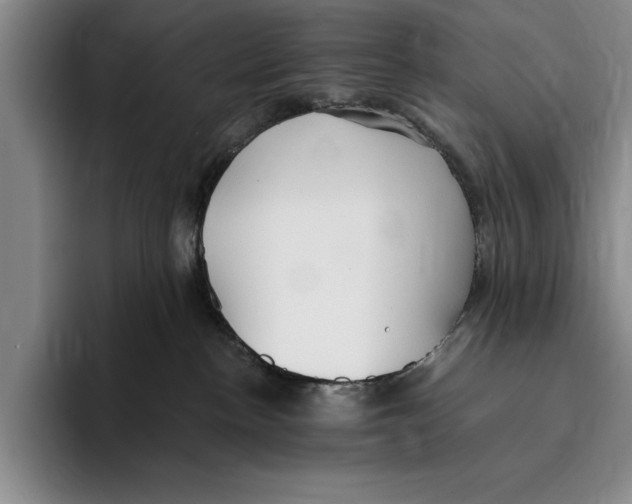 X0000096210188200802151509