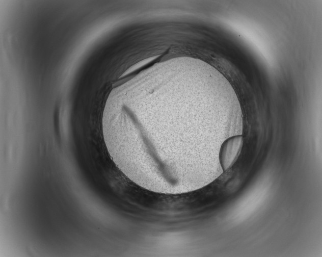 X0000096210189200802151509