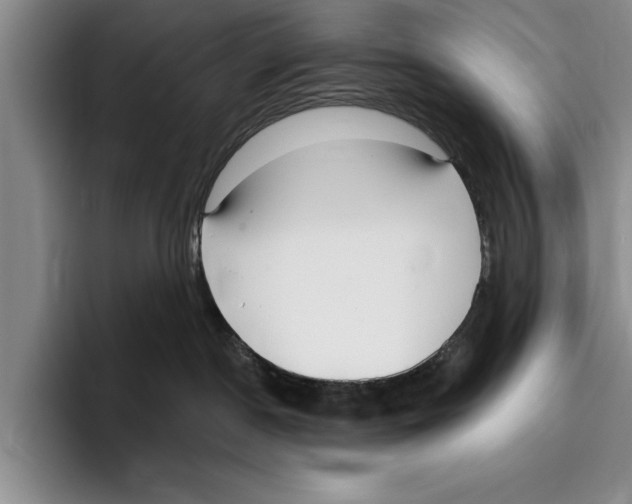 X0000096210190200802151509