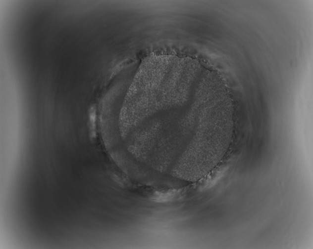 X0000096210192200802151509