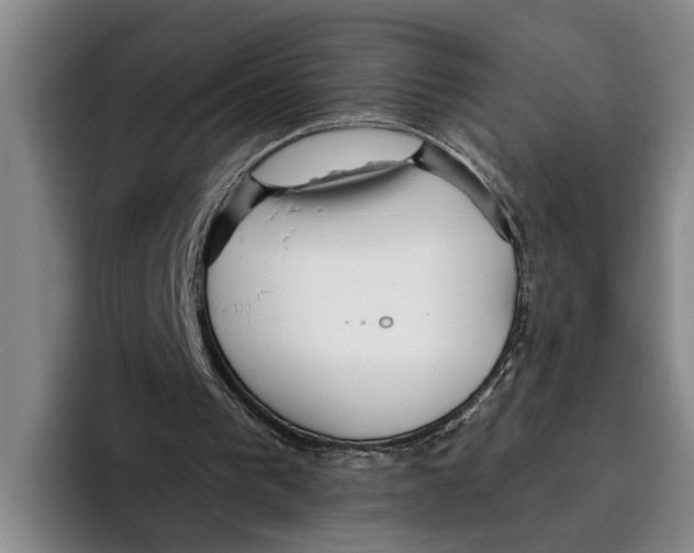 X0000096210193200802151509