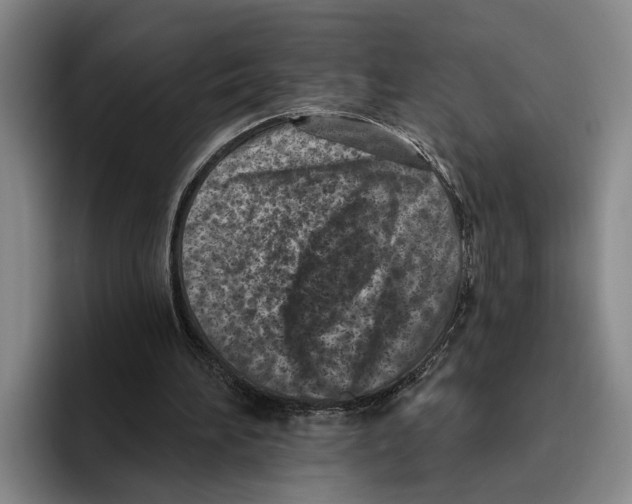 X0000096210196200802151509