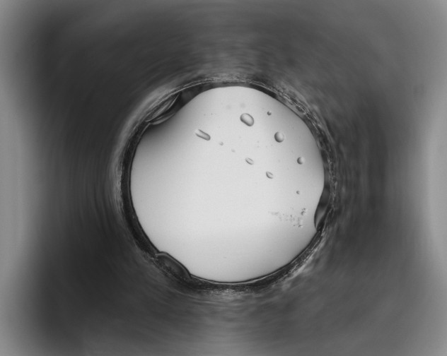 X0000096210197200802151509