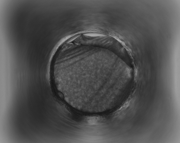 X0000096210200200802151509