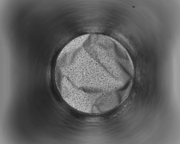 X0000096210202200802151509