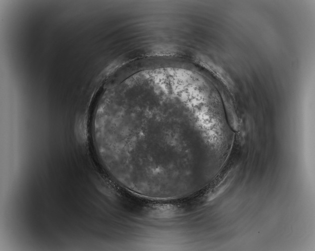 X0000096210203200802151509