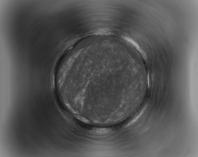 X0000096210205200802151509