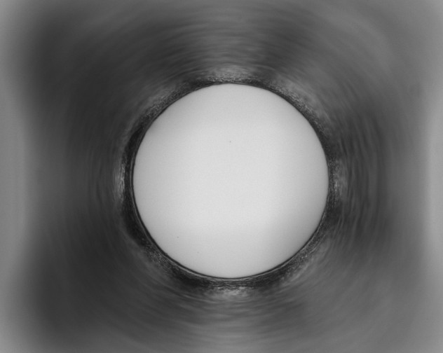 X0000096210206200802151509