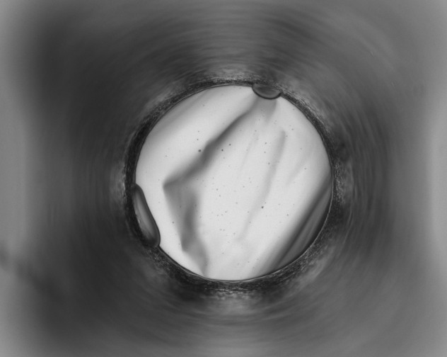 X0000096210207200802151509