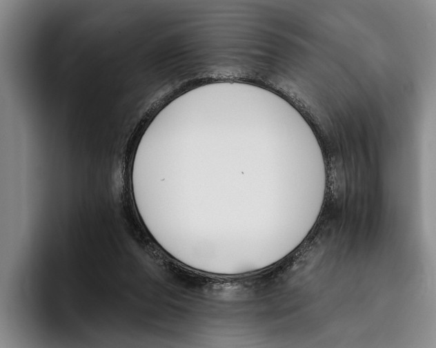 X0000096210208200802151509