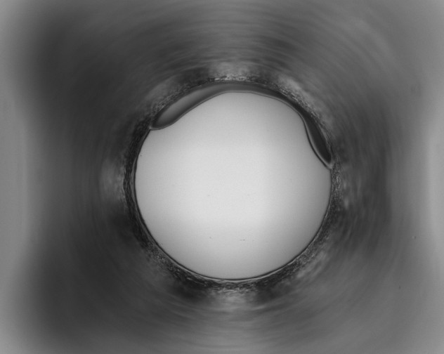 X0000096210209200802151509