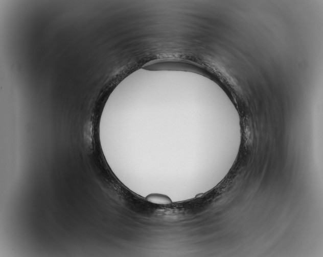 X0000096210211200802151508