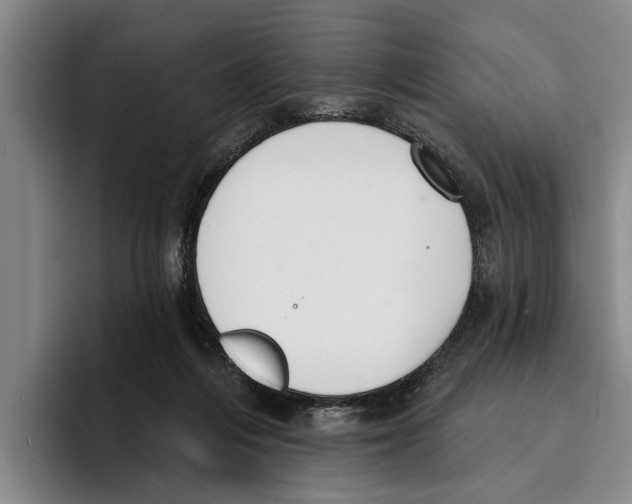 X0000096210216200802151508