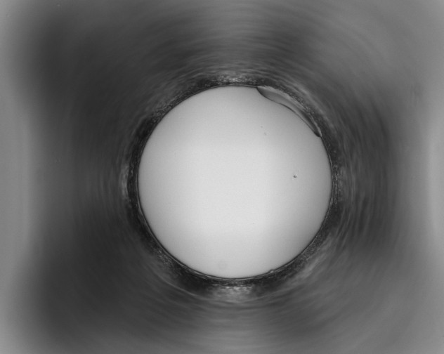 X0000096210217200802151508