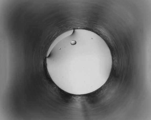 X0000096210221200802151508