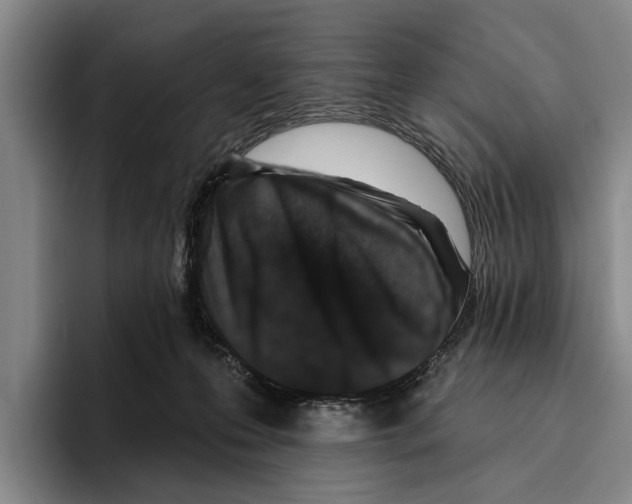 X0000096210223200802151508