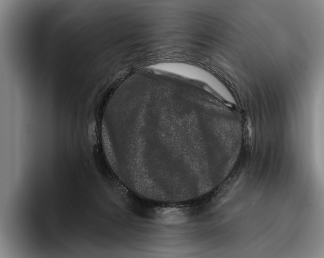 X0000096210224200802151508