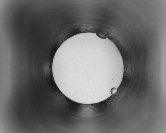 X0000096210226200802151508